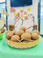 Hoạt động nhận biết phân biệt: Trứng gà - Trứng Vịt