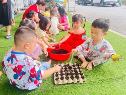 HOẠT ĐỘNG TRẢI NGHIỆM: BÉ GIEO HẠT ĐẬU