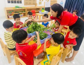 KỸ NĂNG SỐNG: Bé thực hành nhặt rau, tách hạt